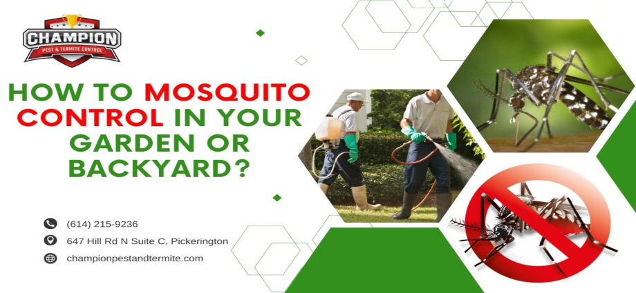 mosquito control near me