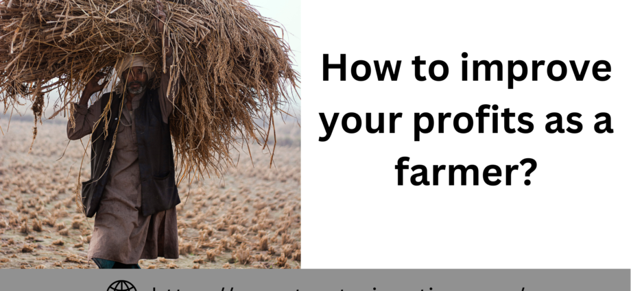 How to improve your profits as a farmer