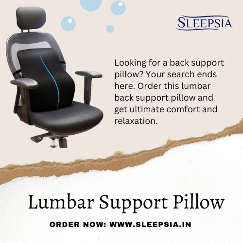 back support pillow