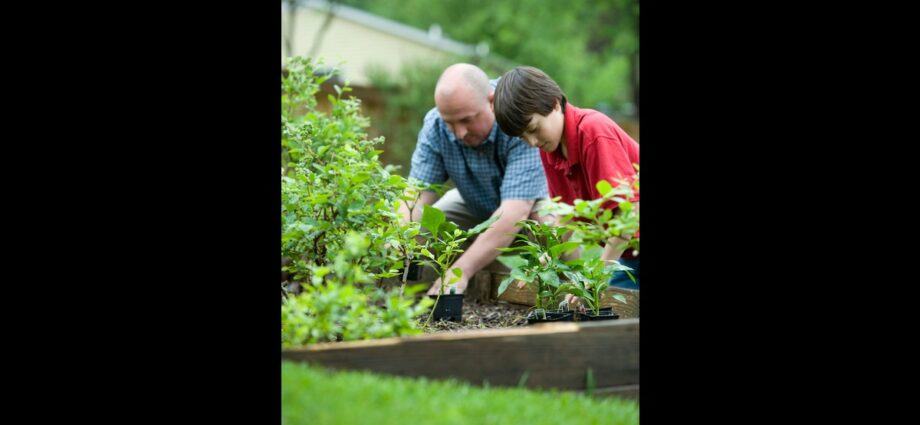 Organic Food Farming