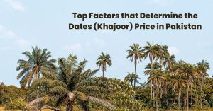 Factors-that-Determine-the-Dates-Khajoor-Price-in-Pakistan