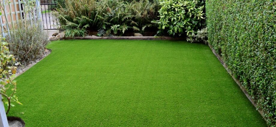 artificial grass Phoenix cost