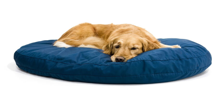 Luxury Dog Beds For Sale