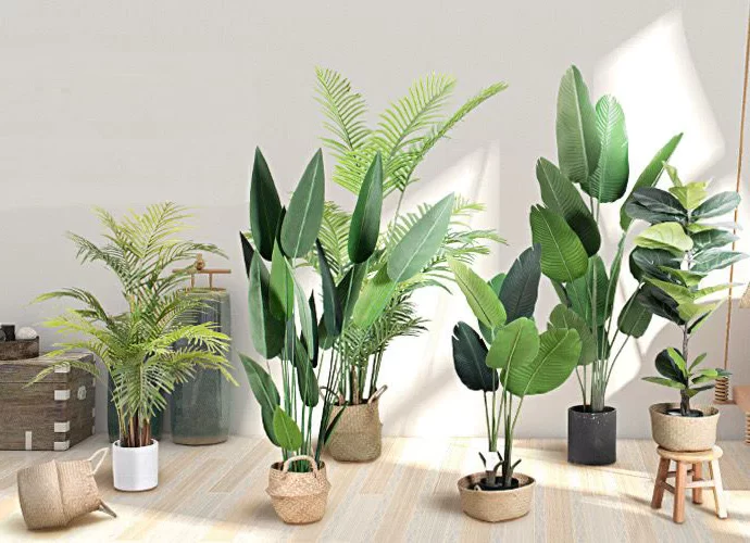 Artificial Plants