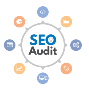 site audit services