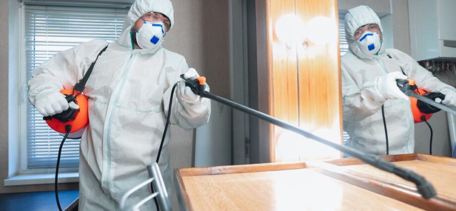 Pest Control Service in Delhi