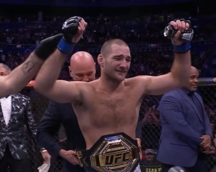 UFC Champion