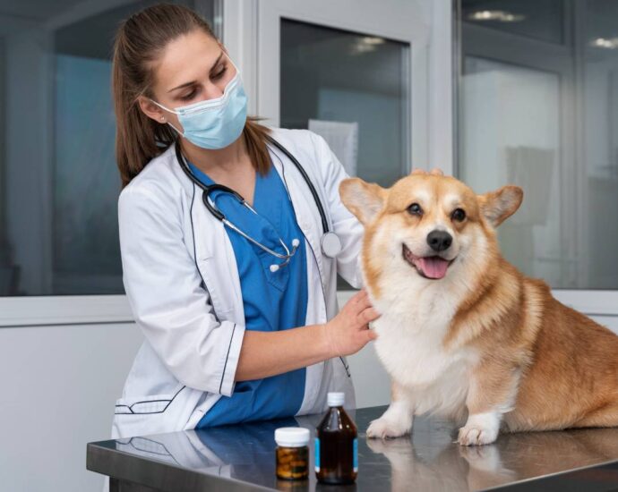 Veterinary Clinic