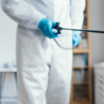 Professional Pest Control Services In Sydney