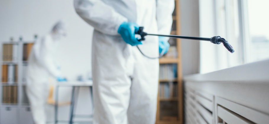 Professional Pest Control Services In Sydney