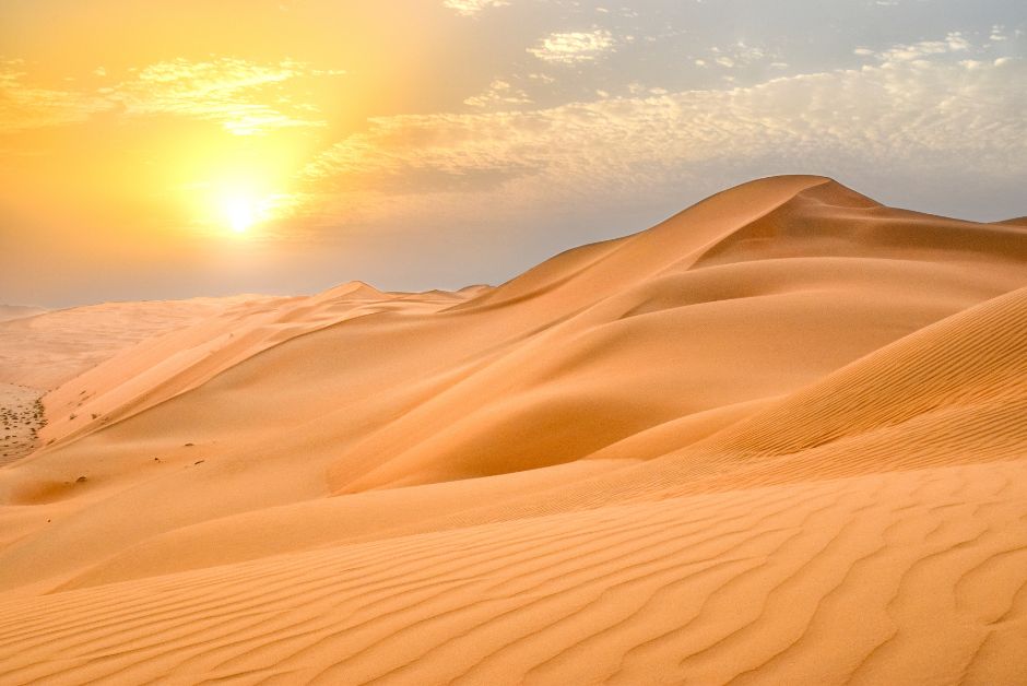 wonderful desert landscape