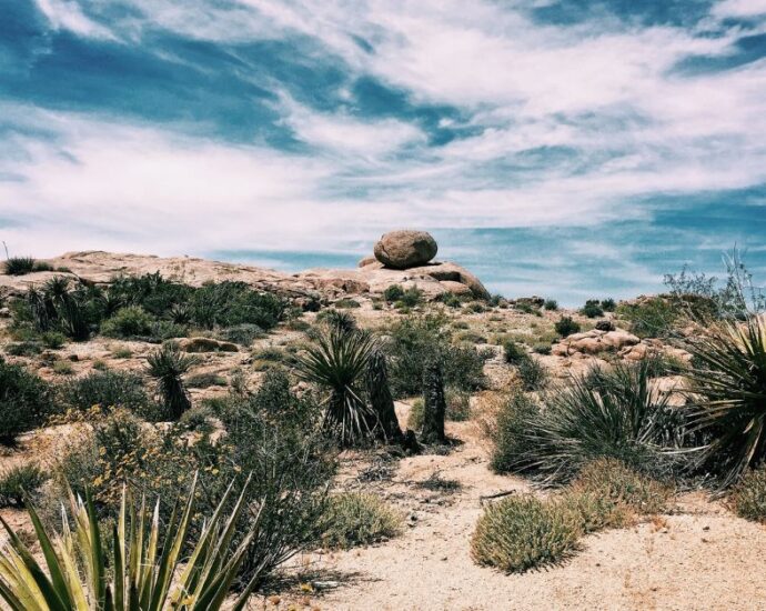 wonderful desert landscape